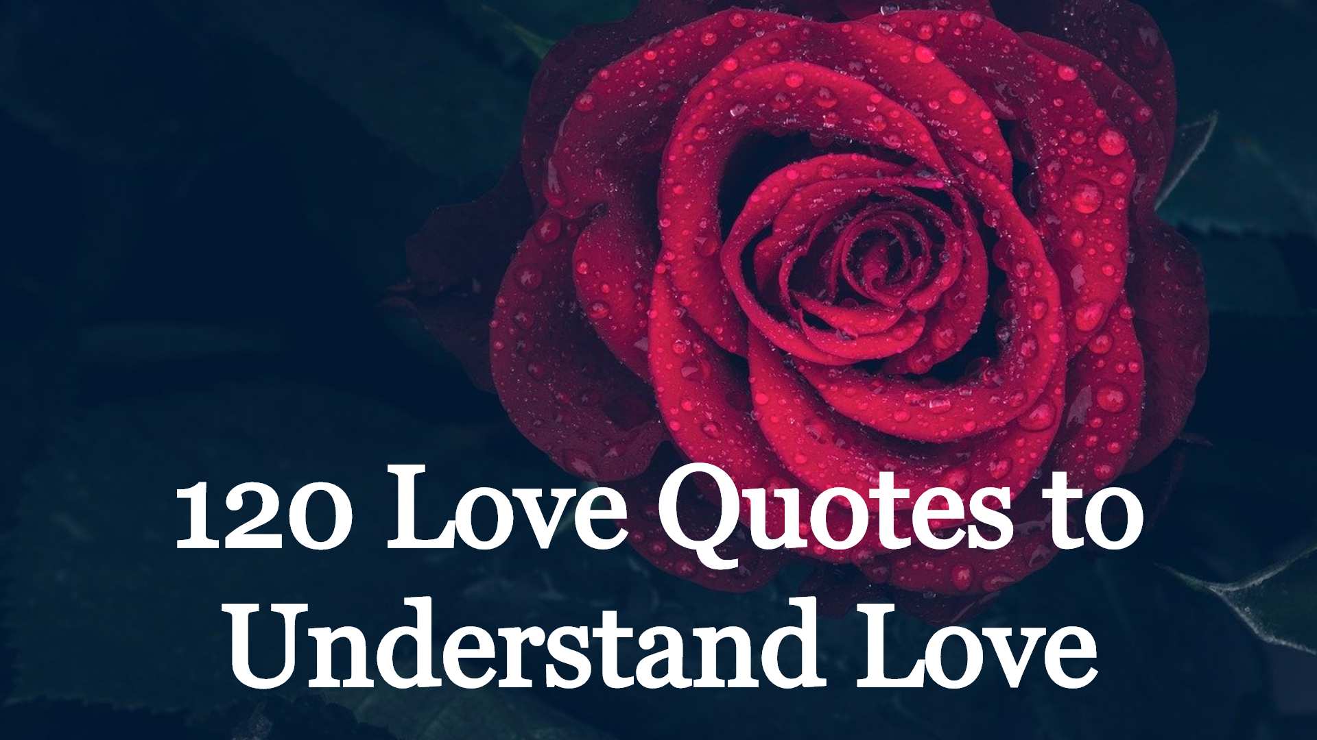 Love Quotes : 120 love quotes to understand love